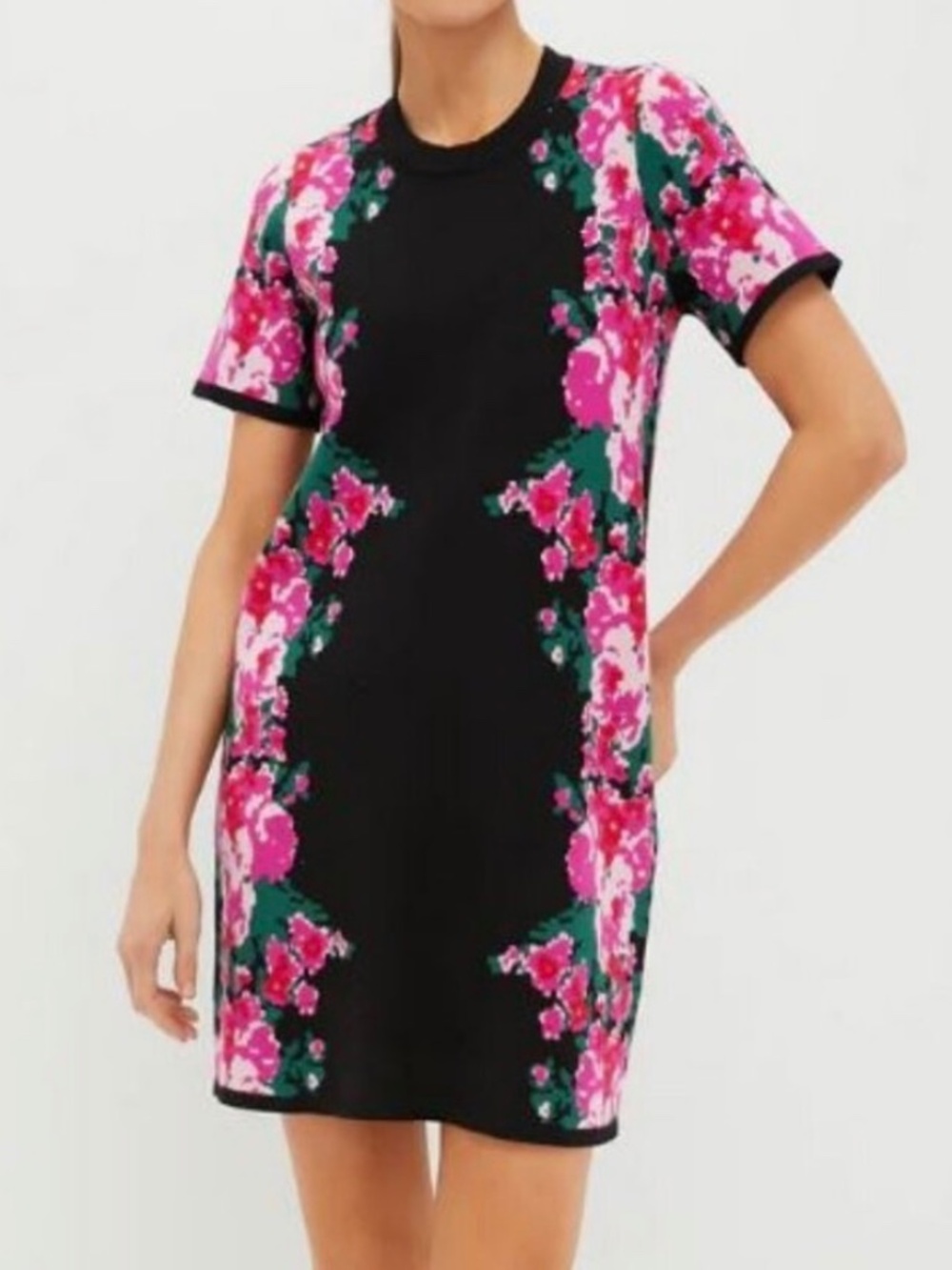 Tuckernuck NWT Climbing Roses Knit Short Sleeve Marie Mini Dress